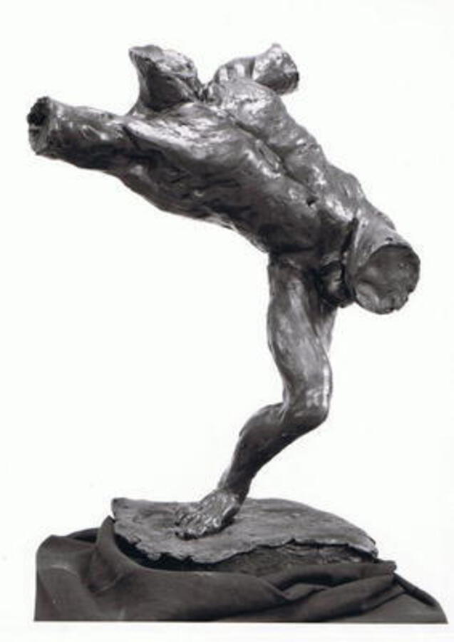 DYNAMIC TORSO BY ENZO PLAZZOTTA