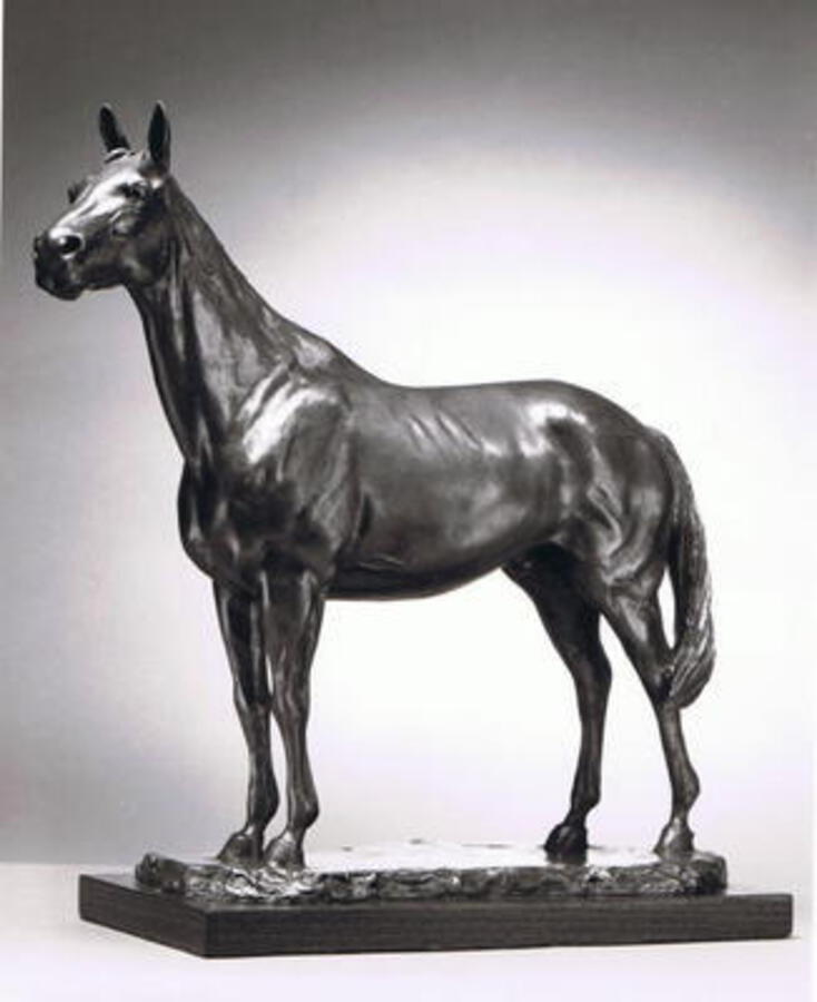 STUDY FOR RED RUM BY ENZO PLAZZOTTA