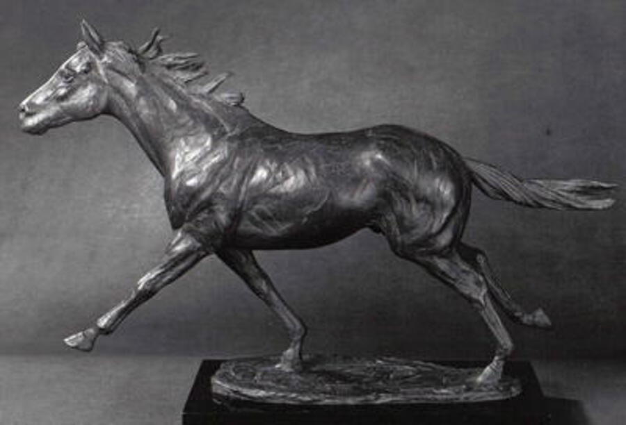 TURNED OUT BY ENZO PLAZZOTTA