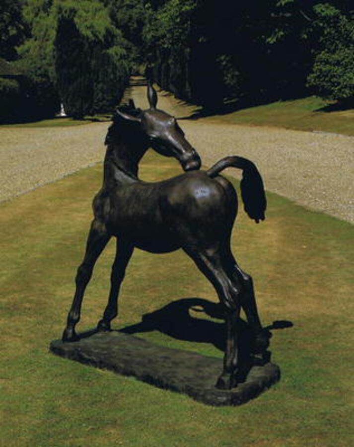 DIETERS FOAL BY ENZO PLAZZOTTA