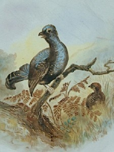 Antique Royal Worcester Vitreous Plate - Bird Detail