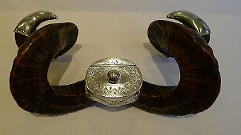 Antique Grand Antique English Ram's Horn Snuff Mull c.1880
