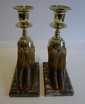 Antique English Victorian Taxidermy Hoof & Brass Candlesticks c.1880