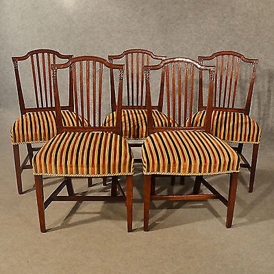Antique Dining Chairs Set of 5 Quality Mahogany Georgian Sheraton English c1800