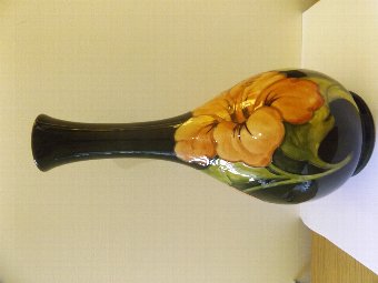 Lovely Large Moorcroft Coral Hibiscus Vase