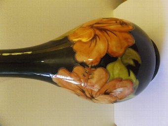Antique Lovely Large Moorcroft Coral Hibiscus Vase