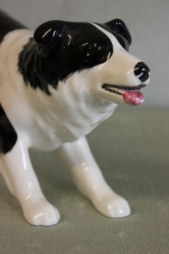 Antique Sylvac Pottery Border Collie Dog