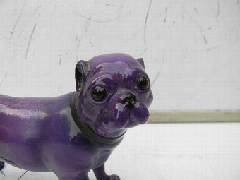 Antique royal worcester Pugh dog 