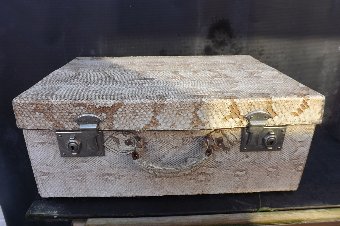 Suite case in snake skin of the Python.