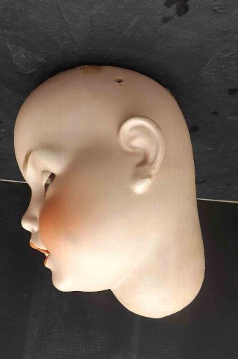 Antique Biske doll's head SH PB number 10 large sized 