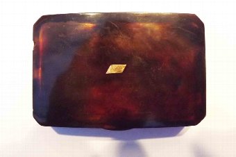 Tortoise shell, hip snuff box