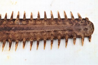 Antique Sawfish Bill Victorian item