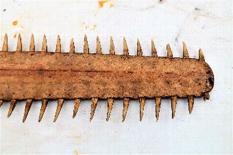 Antique Sawfish Bill Victorian item