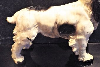 Antique Victorian Cocker Spaniel dog with glass eyes 