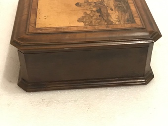 Antique Walnut with Pen & Ink work Jewellery Box
