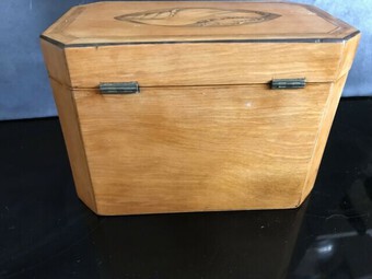 Antique Tea Caddie Satinwood With Shell Inlays Georgian