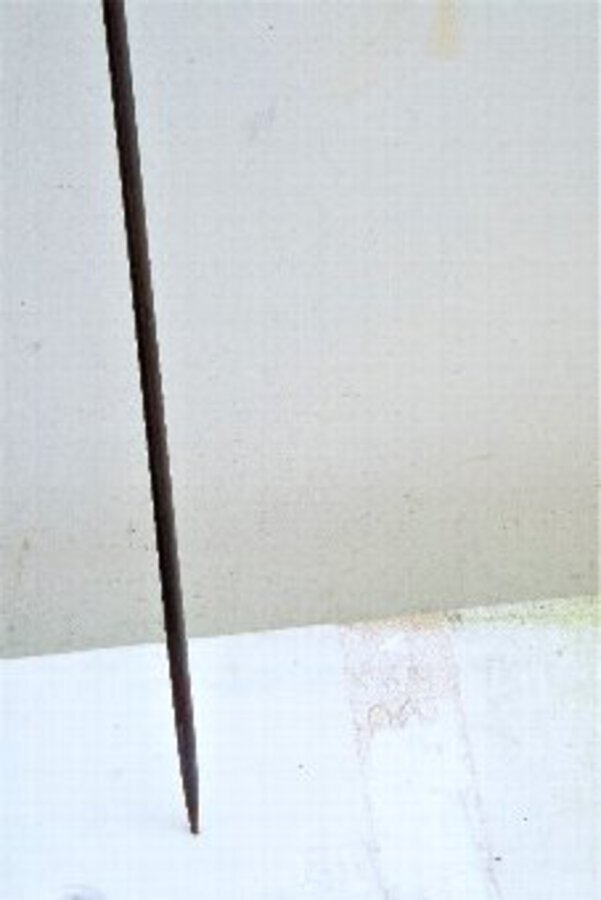 Antique Quality Gentleman's walking/sword stick