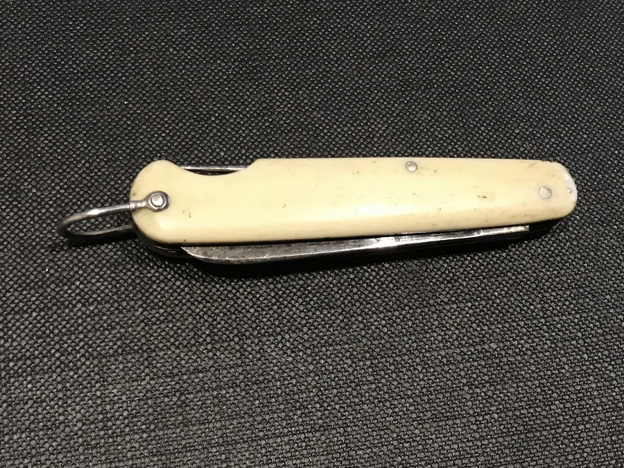 Antique William Rogers multi  function  Bone grips pocket knife