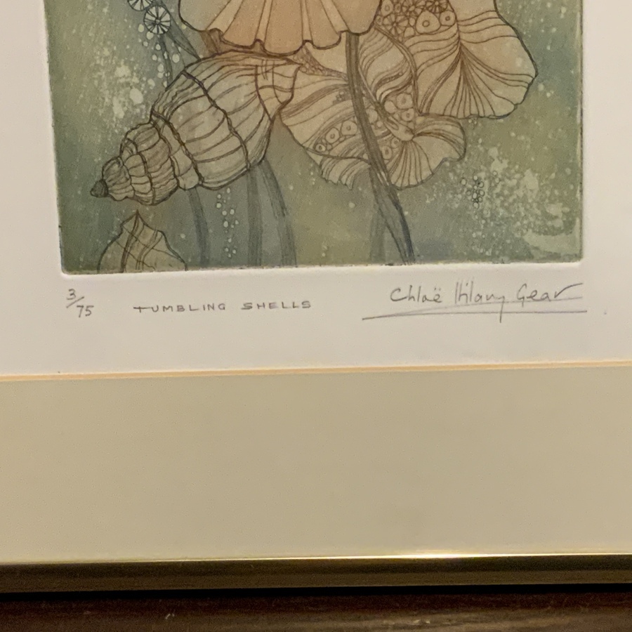 Antique Chloe Hilary Gear 3/75  ‘ Tumbling Shells ‘ limited edition Framed print.