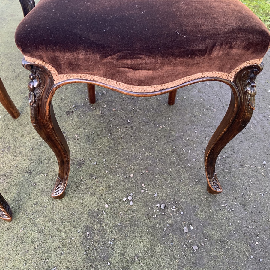 Antique Set of six walnut dining chairs, cabriolet legs profusely carved and recently  upholstered 