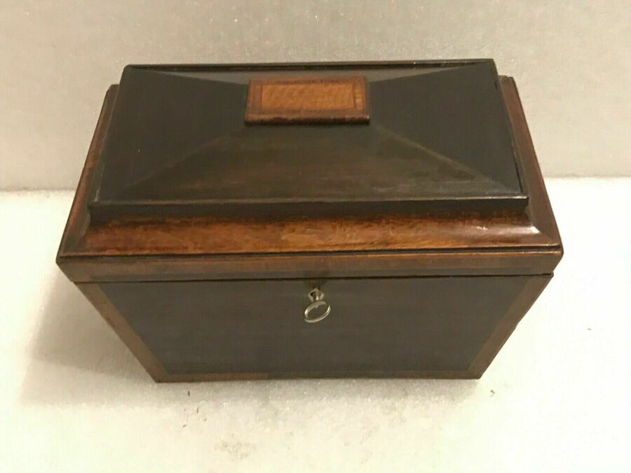 Antique Tea Caddie rosewood with mahogany and satin wood inlays