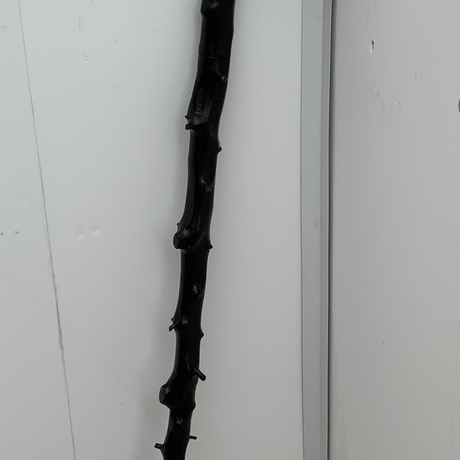 Antique Irish Blackthorn walking stick sword stick the Finest