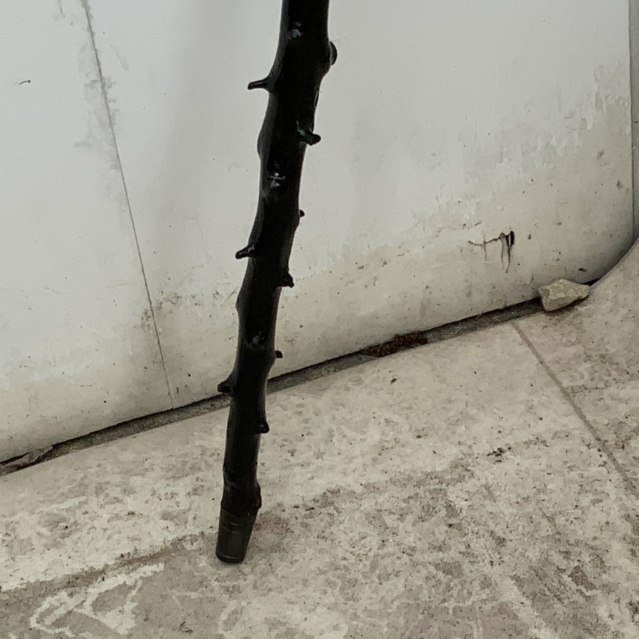 Antique Irish Blackthorn walking stick sword stick the Finest