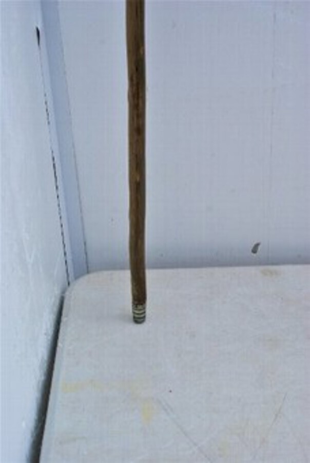 Antique Horn crook handled walking stick come sword stick