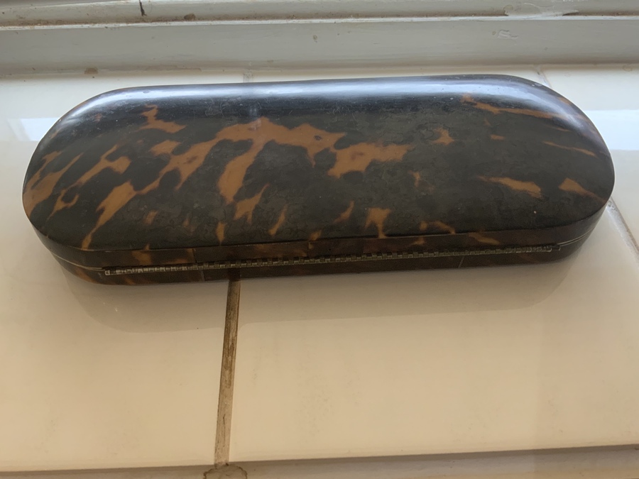 Antique Tortoise shell ladies grooming case