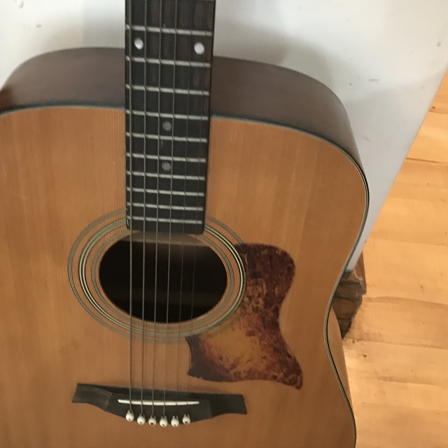 Antique Tangle wood  acoustic guitar 