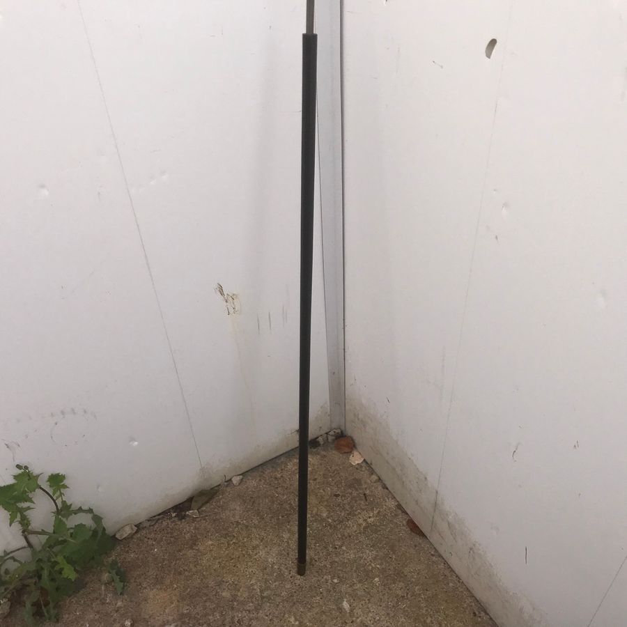 Antique Gentleman’s Ebony walking stick sword stick 