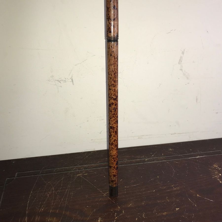 Antique Rare Picasso styled artists swagger stick 
