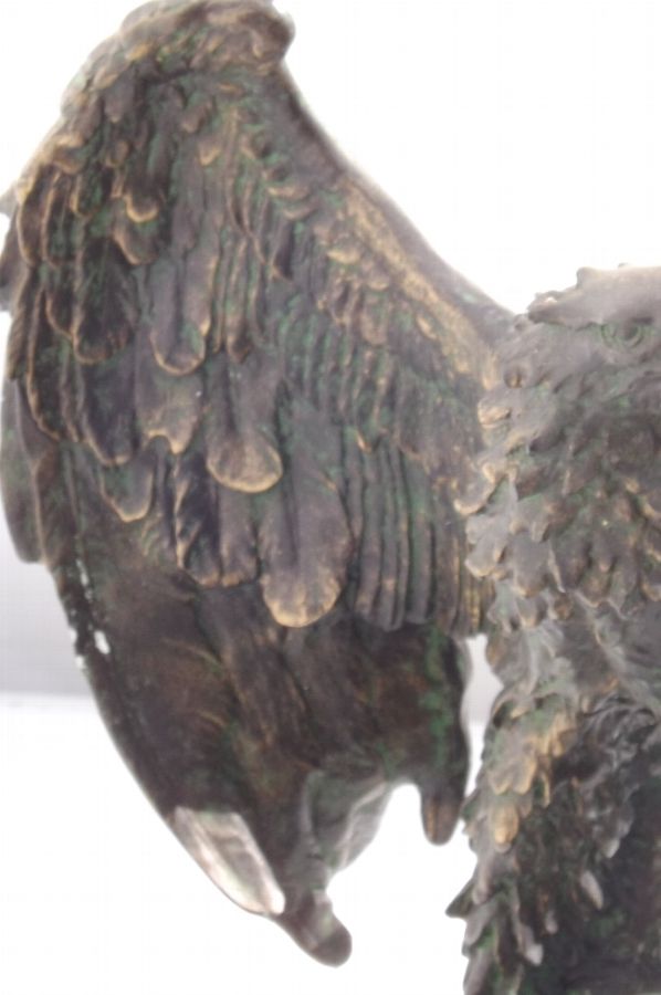 Antique 'Magnificent Eagle ' on marble base circa last century