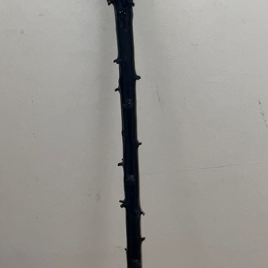 Antique gentleman's walking stick sword stick
