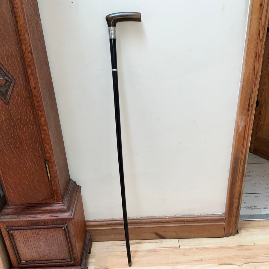 Exceptional walking stick/sword stick