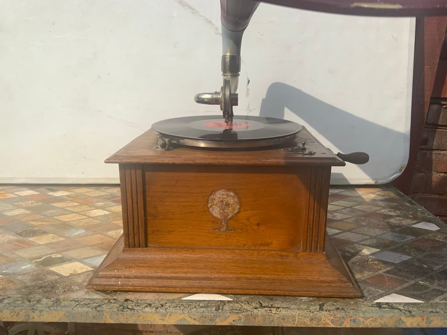 Antique Horn Gramophone 