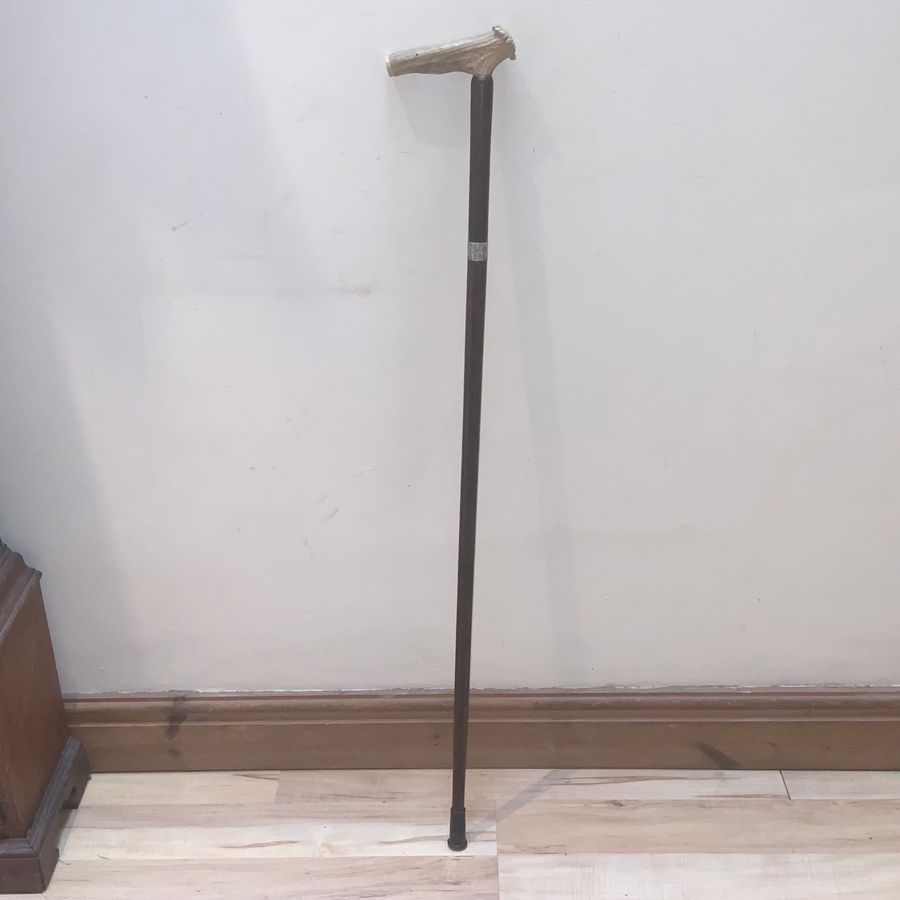 Antique Gentleman’s horn handle walking stick sword stick 