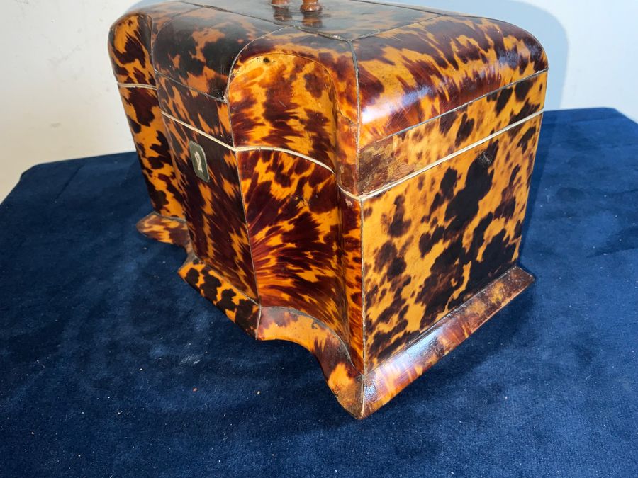 Antique Tortoise Shell Tea Caddy