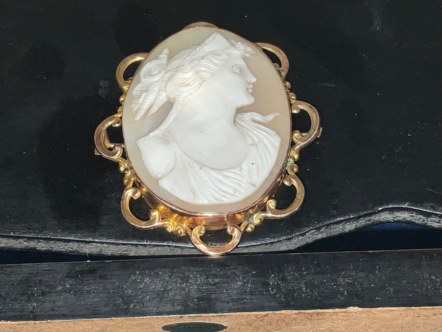 CAMEO BROOCH 9CT FRAMED CASE