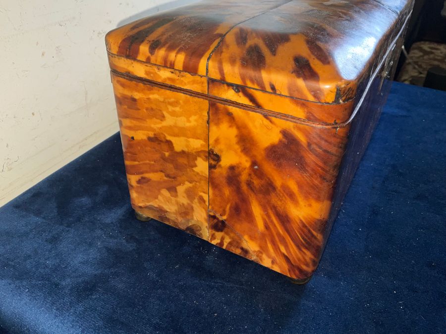 Antique Tortoise Shell tea caddy