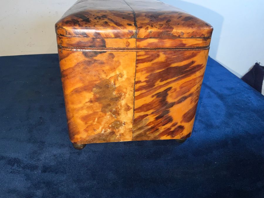 Antique Tortoise Shell tea caddy