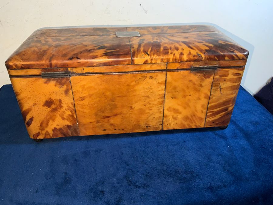 Antique Tortoise Shell tea caddy