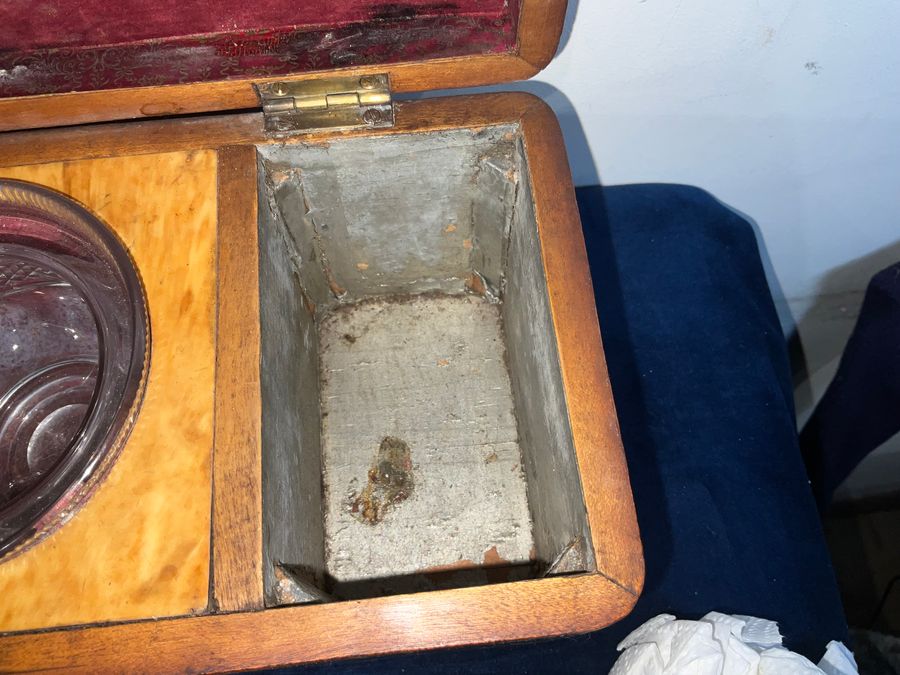 Antique Tortoise Shell tea caddy