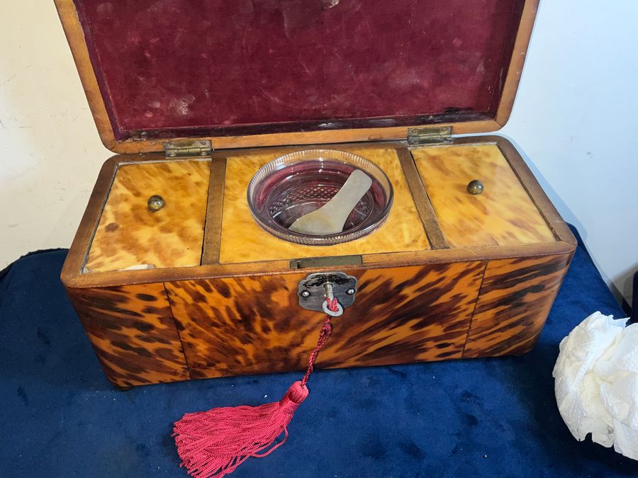 Antique Tortoise Shell tea caddy