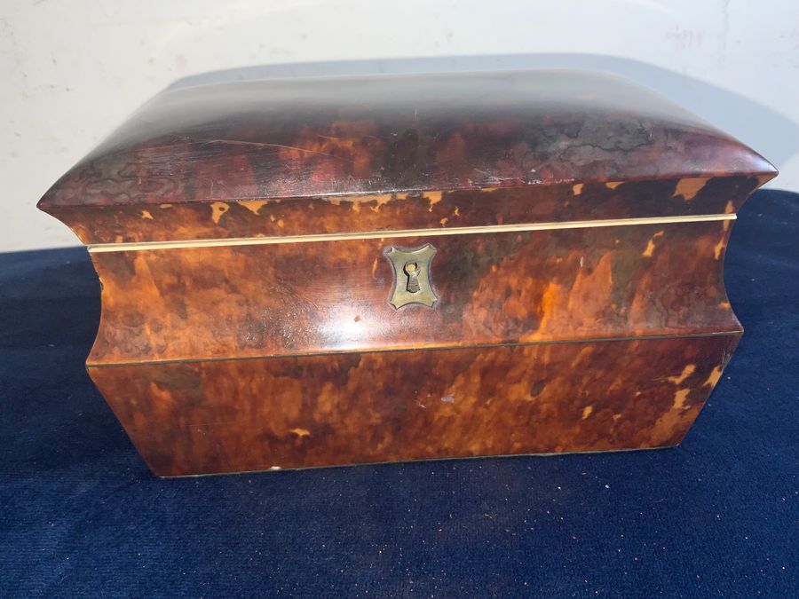 TORTOISE SHELL GEORGIAN  TEA CADDY