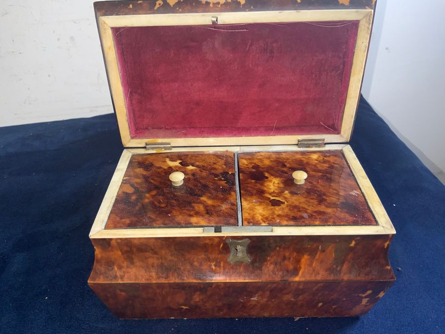 Antique TORTOISE SHELL GEORGIAN  TEA CADDY 