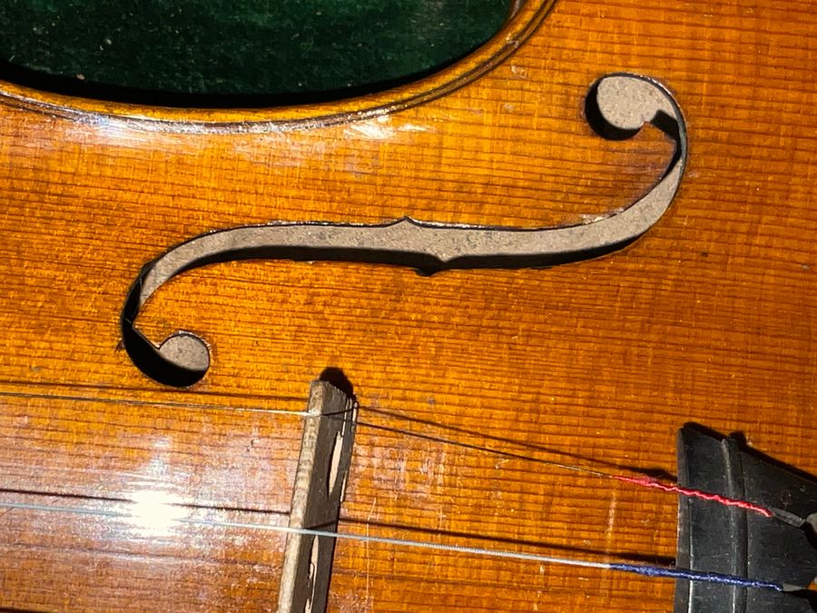 Antique Violin &  Alligator Skin Case & Violins Bow