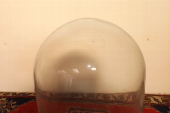 Antique Glass Dome on cork base Victorian