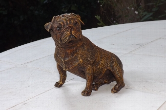 Austrian cold painted Pugh dog signed stunning quality. CB