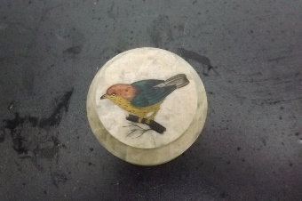 Pill box in stone with Bird motif Chinese. B29